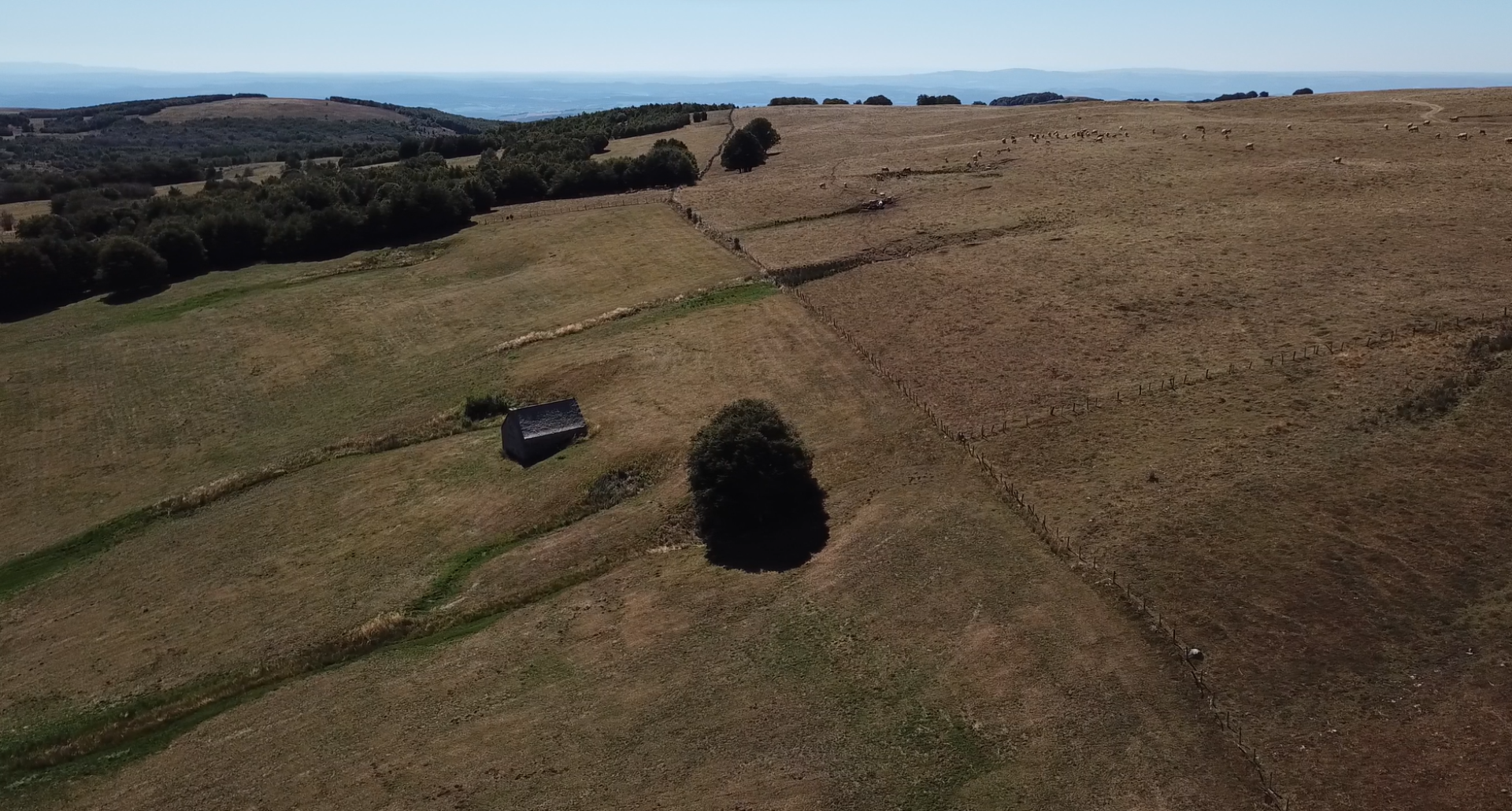 Photo d'un champ vu du ciel en lozère